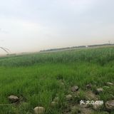 出示了绿色随申码和提前买的门票才入园
