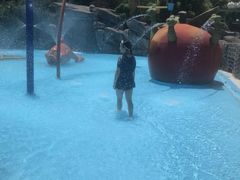 -热带风暴水上乐园