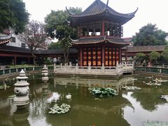 -碧江金楼