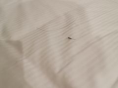 -蓝蔻酒店(深圳东站布吉万象汇店)