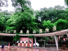 -南山植物园