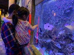 -迪拜水族馆及水下动物园