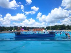 -上海玛雅海滩水公园