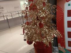 -亚马逊蒸汽活海鲜自助(LCM置汇旭辉广场店)
