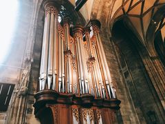 -斯蒂芬主教座堂(Stephansdom)