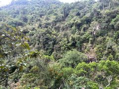 -海南热带雨林国家公园吊罗山景区