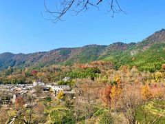 -塔川景区