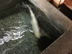 -月光园游月山庄