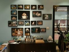 -藦茜花园宠物主题亲子互动体验馆(国顺东路店)