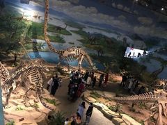 -自贡恐龙博物馆