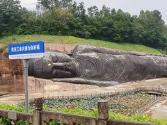 -三水森林公园