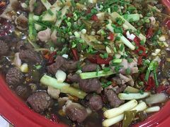 -东吴霸王兔(松青路店)
