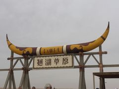 -通湖草原