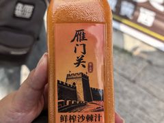 -雁门关景区