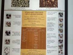 -香草山咖啡店·外教英语角·自习室(盛世商都店)