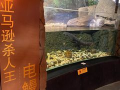 -成都浩海立方海洋公园