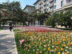 -君庭中餐厅(友谊宾馆店)