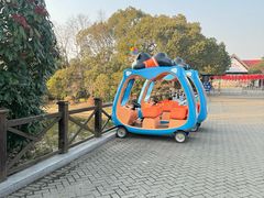 -上海海湾国家森林公园