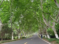 -宜兴龙背山森林公园