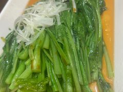 -靖远尕六美味羊羔肉