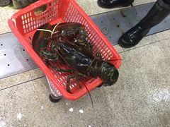 -蚝专家(北滘店)