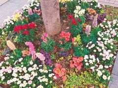 -横滨红砖仓库1号馆