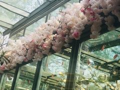 -星巴克(西湖天地店)