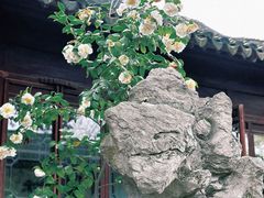 -耦园