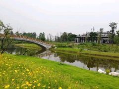 -白鹭湾湿地公园