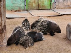 -鄂尔多斯野生动物园