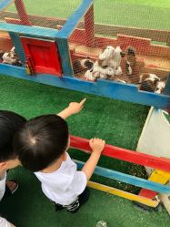 -萌宠亲子动物乐园(槐房万达店)