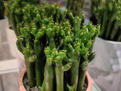 -KKV(深圳宏发大仟里店)