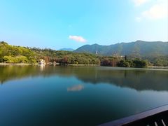 -深圳仙湖植物园