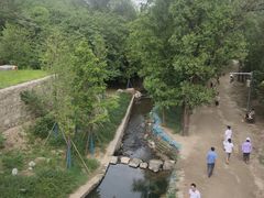 -白水寺森林公园