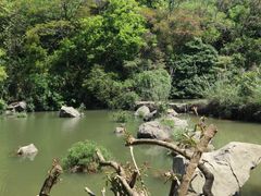 -云溪植物园