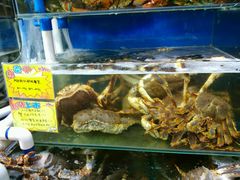 -蚝专家(北滘店)