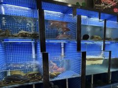 -金龙·打边炉(武进路店)