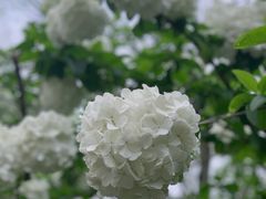 -院士公园