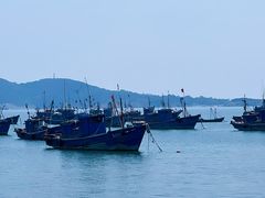 -海源公园