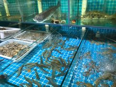 水产区-鲜小岛·铜锅涮肉