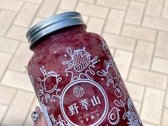 -野萃山·潮汕厚果汁(十亩地店)