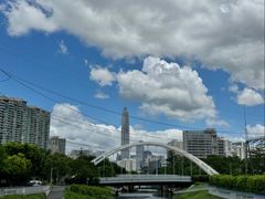 -福田红树林生态公园