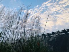 -海窝子古镇