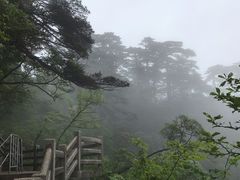 -光明顶山庄