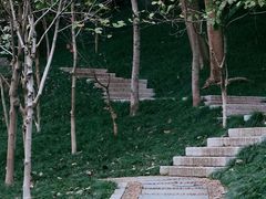 -乌山风景区