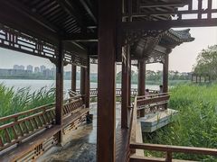 -水西公园