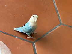 -亚忠小吃店(曾厝垵店)