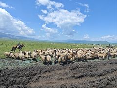 -新疆那拉提国家旅游度假区