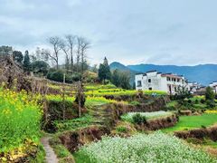 -婺源风景区