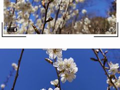 -崂山九水游览区